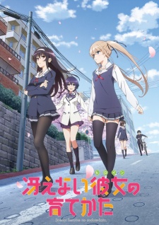 Saenai Heroine no Sodatekata Sub Indo Episode 00-12 End + OVA BD
